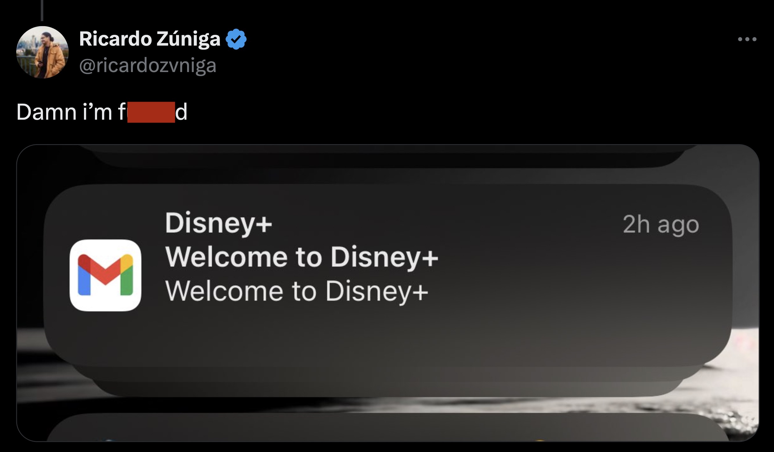 screenshot - Ricardo Zniga Damn i'm f d M Disney Welcome to Disney Welcome to Disney 2h ago